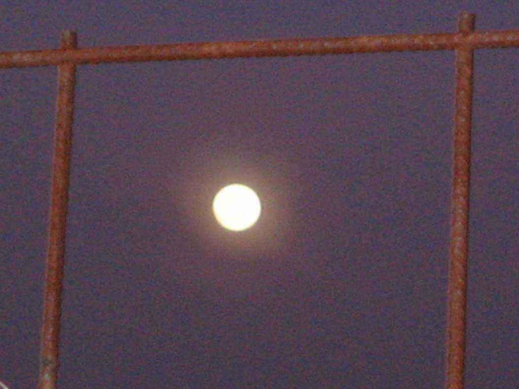 IMG_0230.thumb.JPG.dc900594e6a51da5474d36b88a16564c.JPG