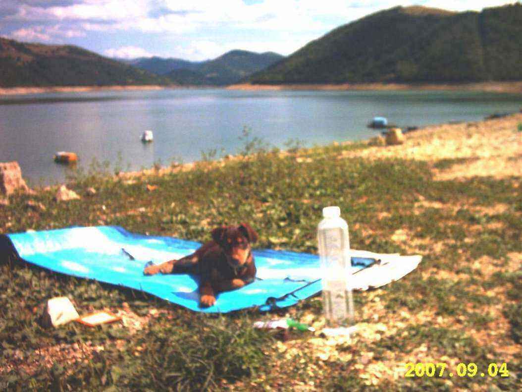DOGGY NA LEZALJCI.jpg