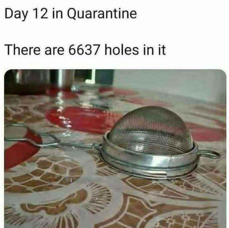 91024781_3335288853242691_6872089879967170560_o.jpg