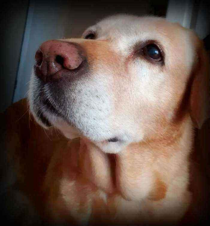 greta.jpg