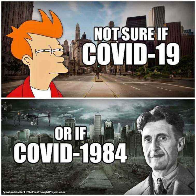 1586356227341.thumb.jpg.5694c1cc2c0c4a148cd84b97638bfde5.jpg