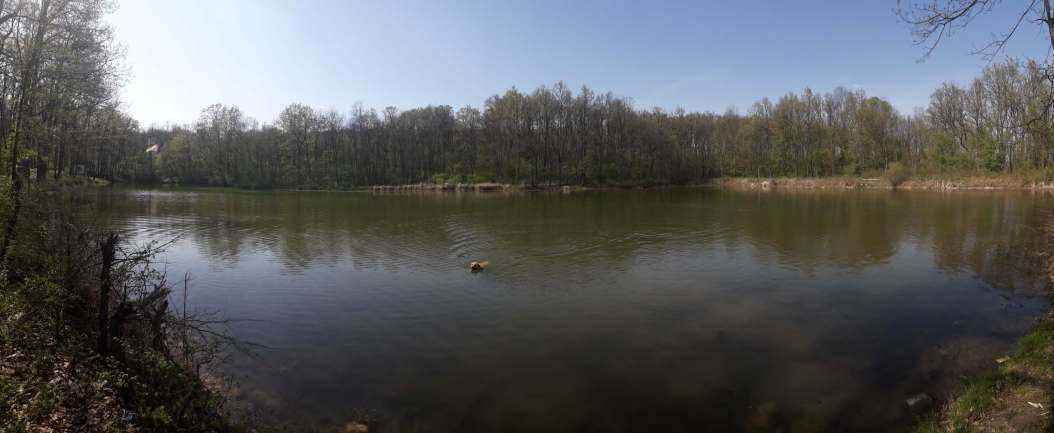 20200419_153834.jpg