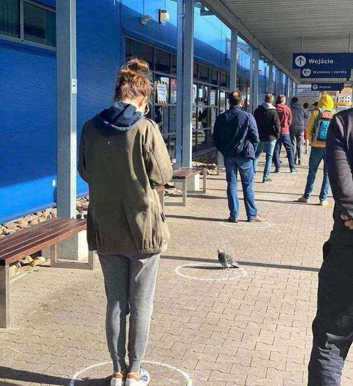 GolubSePridrzavaPreporukaStruke.jpg