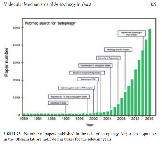 1748276706_Screenshot_2020-05-14YoshinoriOhsumi-NobelLectureMolecularMechanismsofAutophagyinYeast-ohsumi-lecturepdf.png.323d97a0b7d49fcf92c242815d7e9de6.png