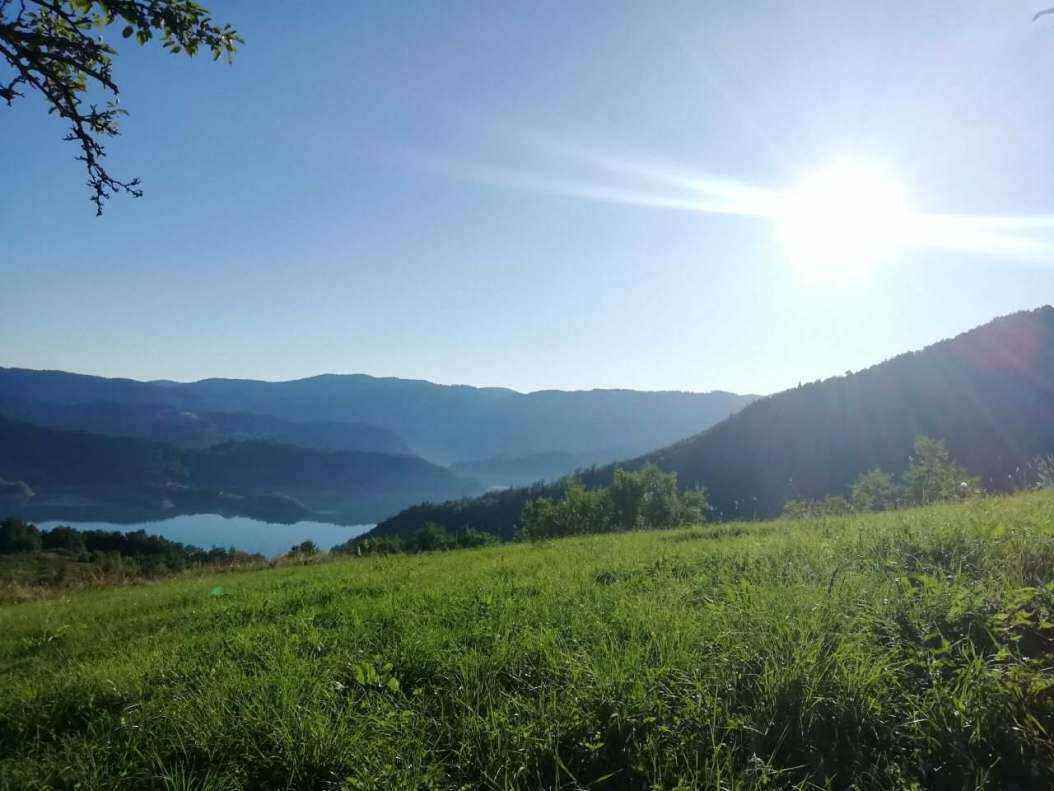 viber_slika_2019-08-20_19-15-28.jpg