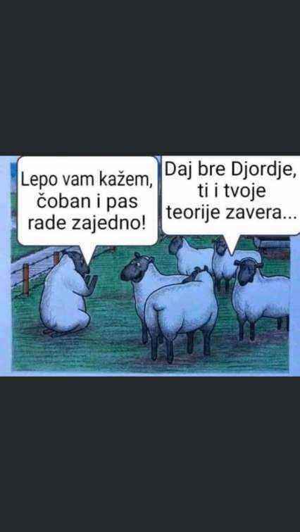zavera.jpg