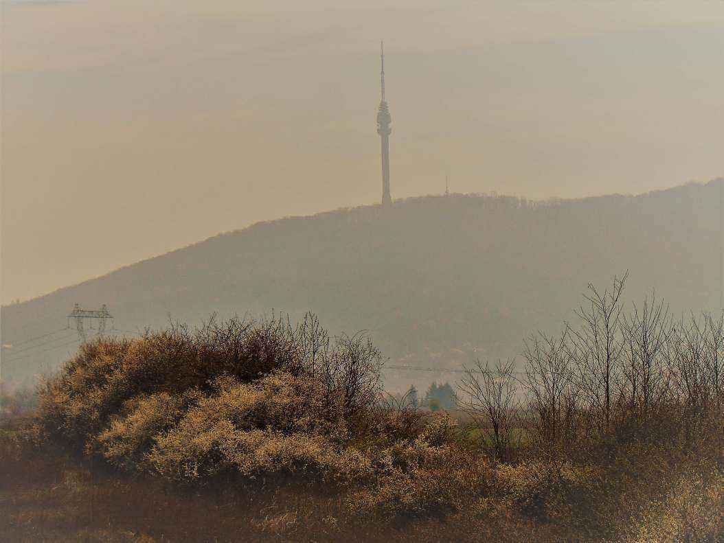 Avala_1.thumb.jpg.5164d004a719cfa06b6dd81d48a1404e.jpg