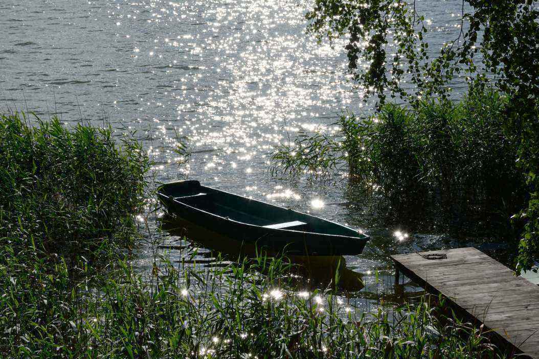 DSC_0271_01.JPG