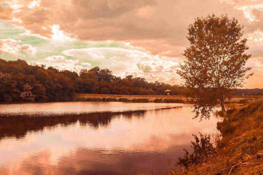 1385308369_Resniko_jezero.thumb.jpg.ccef2f80d505aaf1b1030e235f507046.jpg