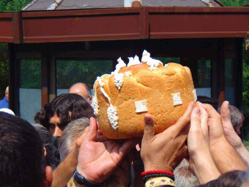 DSC00199.thumb.JPG.fef98f0bc6e0814d3675fc594b6940d8.JPG