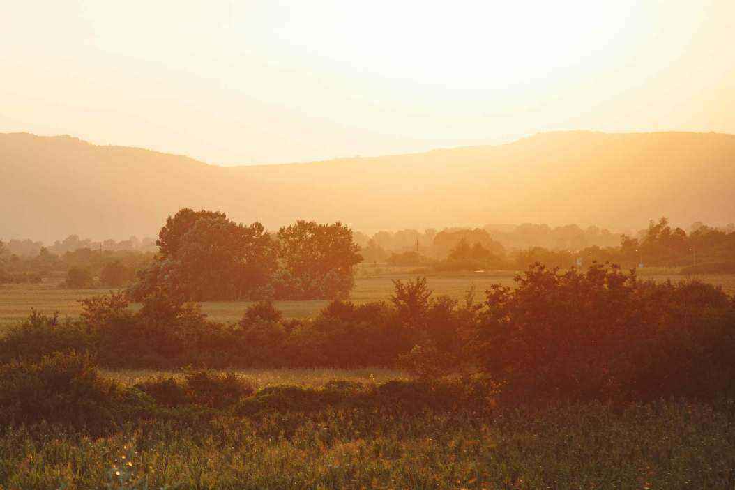 tara-195.jpg