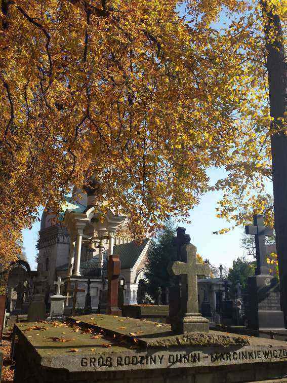 1344373728__.jpg
