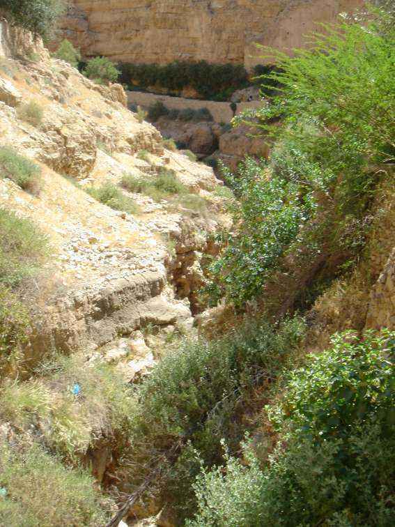 209813340_DSC01444-Copy.JPG