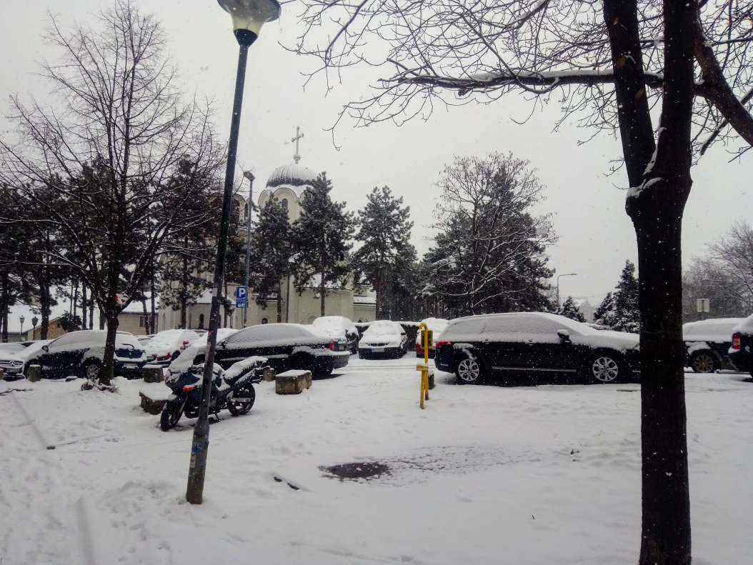 307845001_IMG_20210117_1015012.jpg