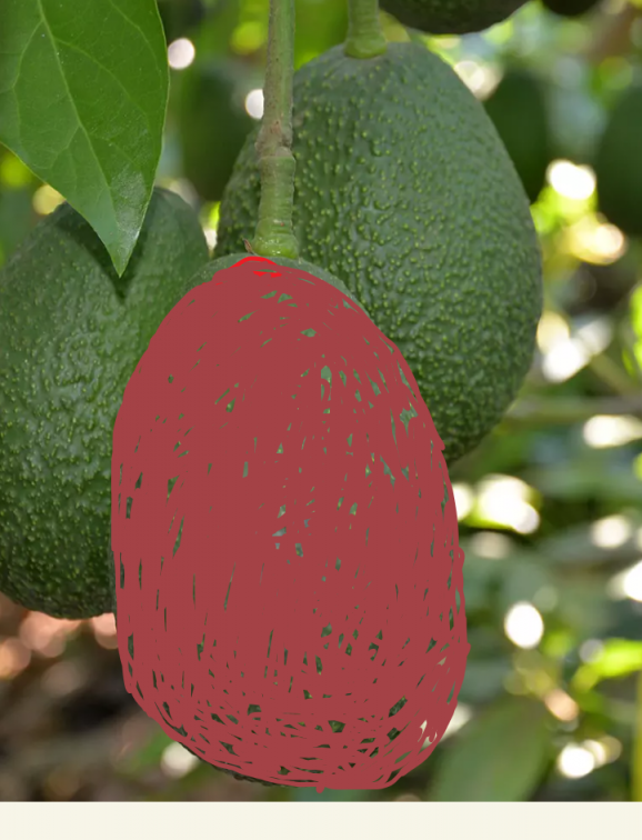 a.thumb.png.0087d87d6799cd40c0e9bf9efaf258ee.png