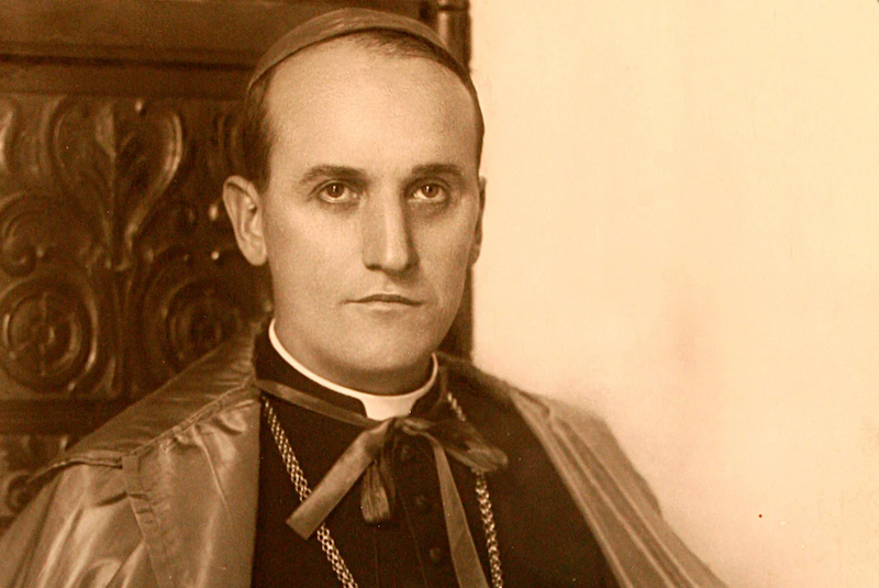 03_stepinac.png.a6b38bc671451db658b57ecf9ad5817f.png