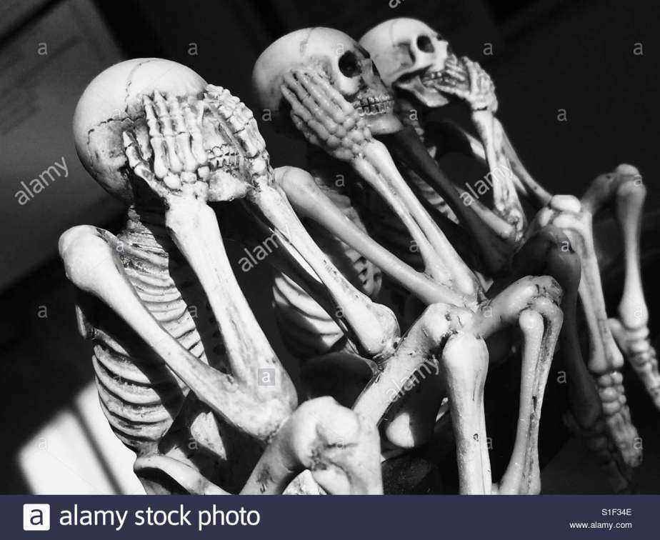see-no-evil-hear-no-evil-speak-no-evil-S1F34E.thumb.jpg.513654e4a5e0a7c53948100106d36356.jpg