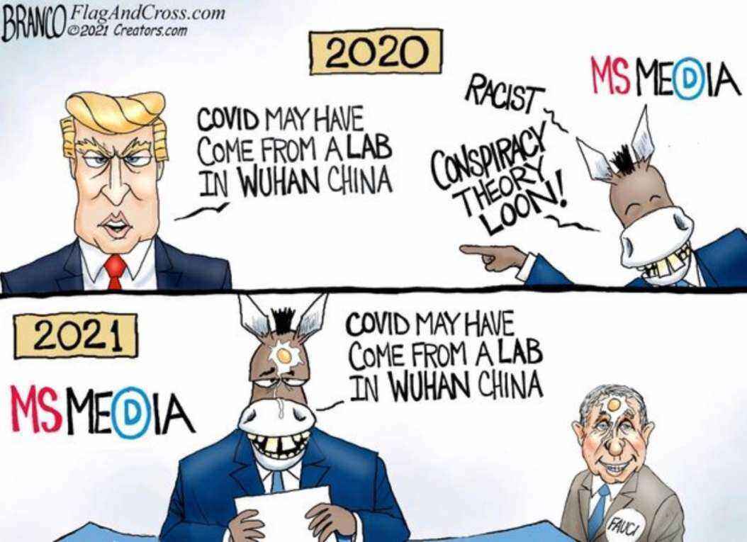 1623661675581.thumb.jpg.c31ec3e27ab2c38499753528b769e675.jpg