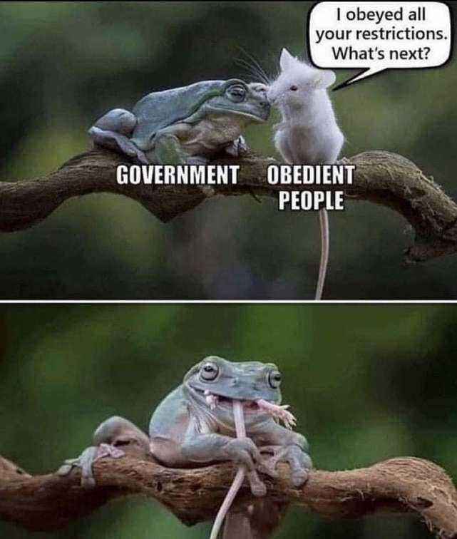 1627489745709.jpg
