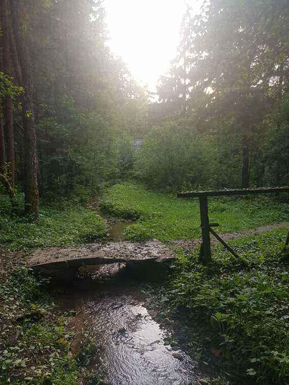 20210704_191405.jpg