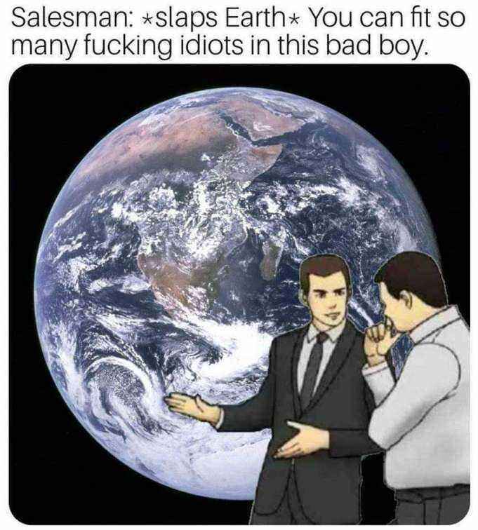 1632646339071.thumb.jpg.fa244de7f5de399eaab82bc6603b2a30.jpg