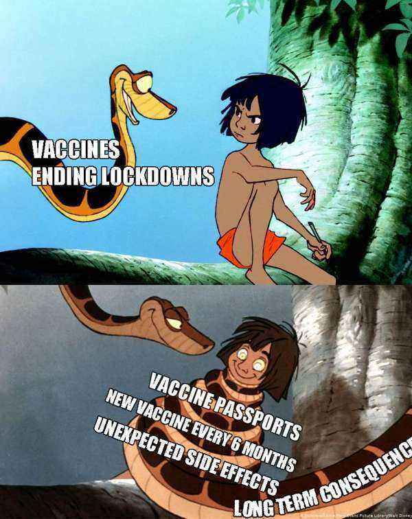1633627235515.jpg
