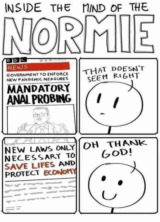1633630173426.thumb.jpg.524aa7db747856cba547aa04618b249a.jpg