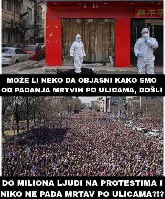 FB_IMG_1627988520915.jpg