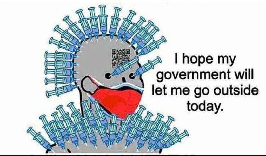 1638867650514.jpg.4694a6fd7088acf3affb85fbbdbffbea.jpg