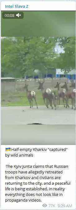 Clip_3.jpg.40ef57623240de143bdc66eda5a3b02c.jpg