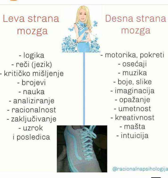 FB_IMG_1655307567248.jpg