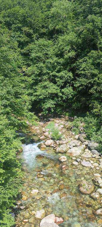 IMG_20220702_101632.thumb.jpg.e9d2f52660d9649816ea6755db720ee4.jpg