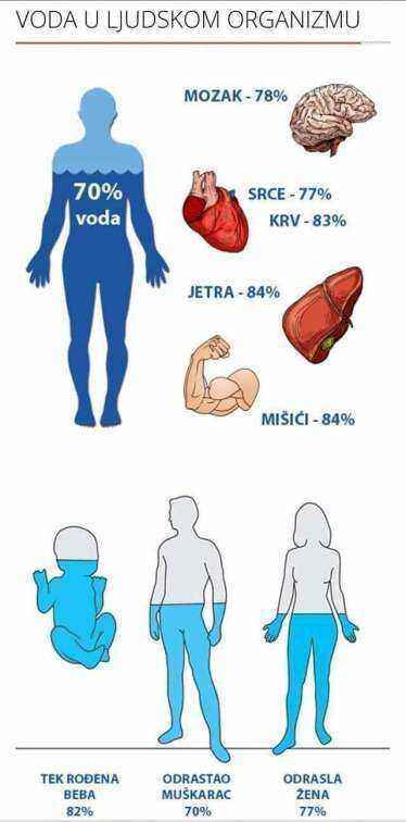 FB_IMG_1664187500916.jpg