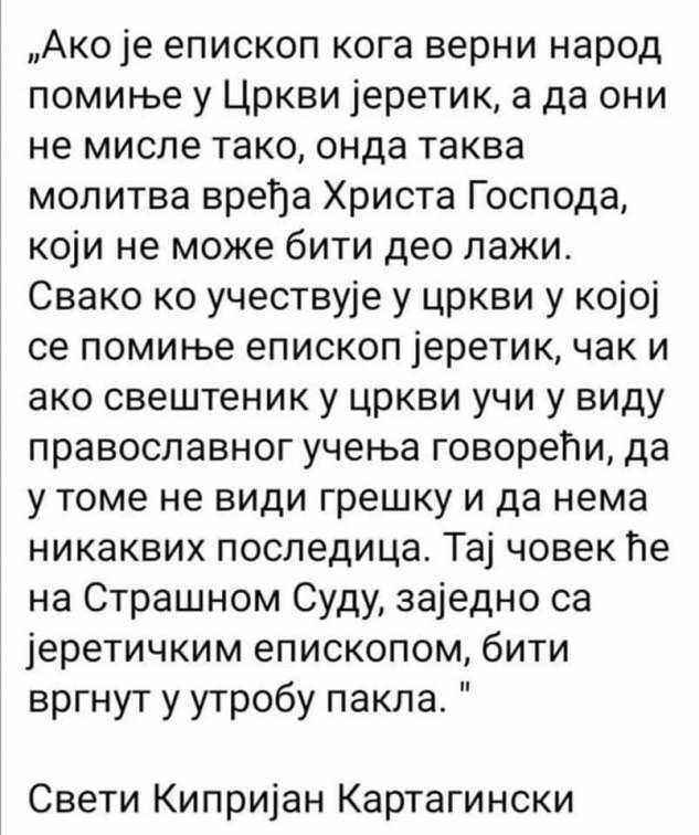 FB_IMG_1665039167866.jpg