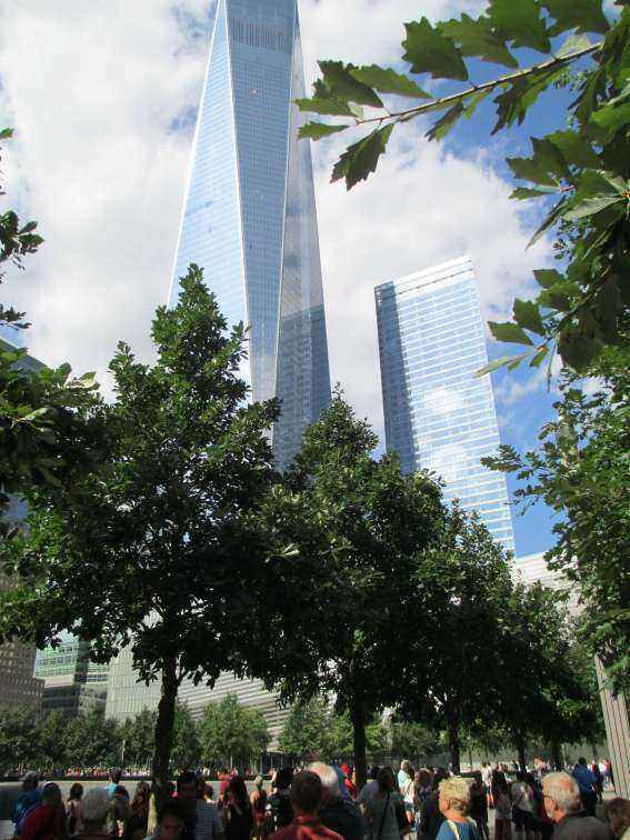 IMG_2350 - Copy.JPG