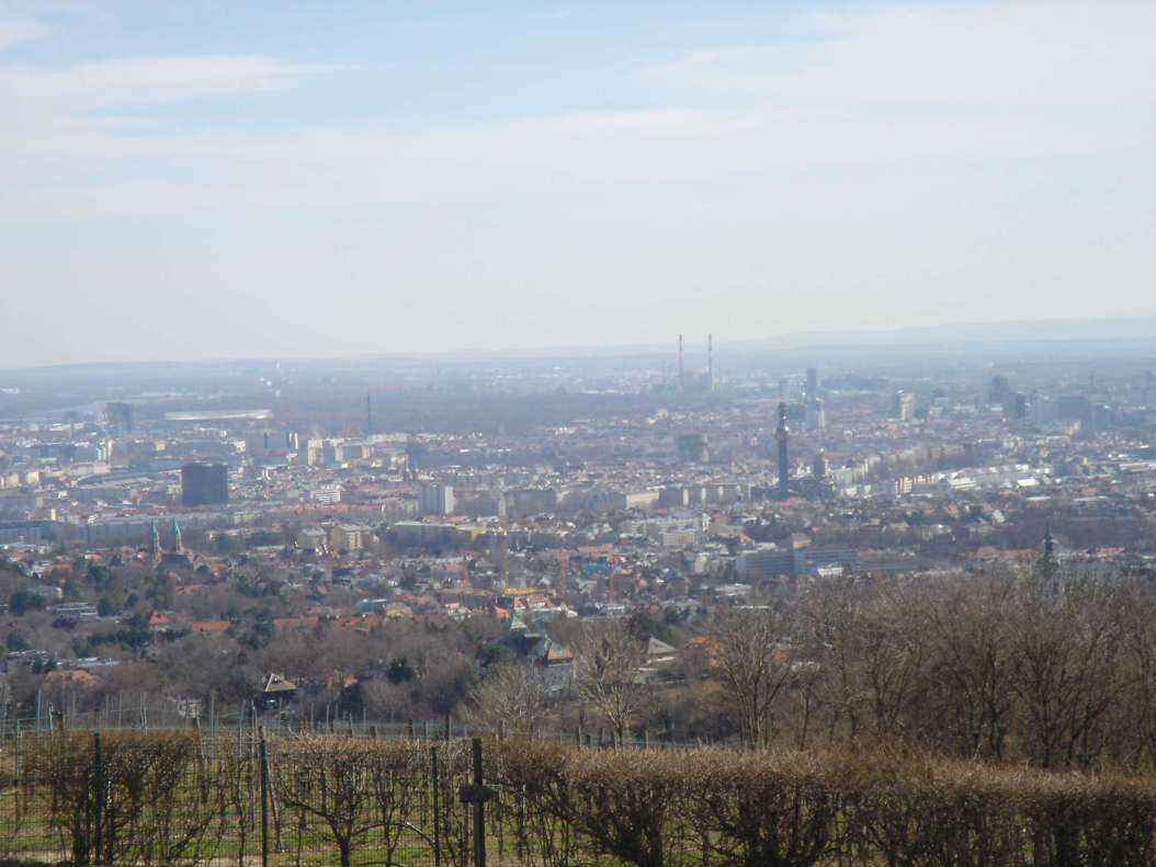 DSC04915 - Copy.JPG