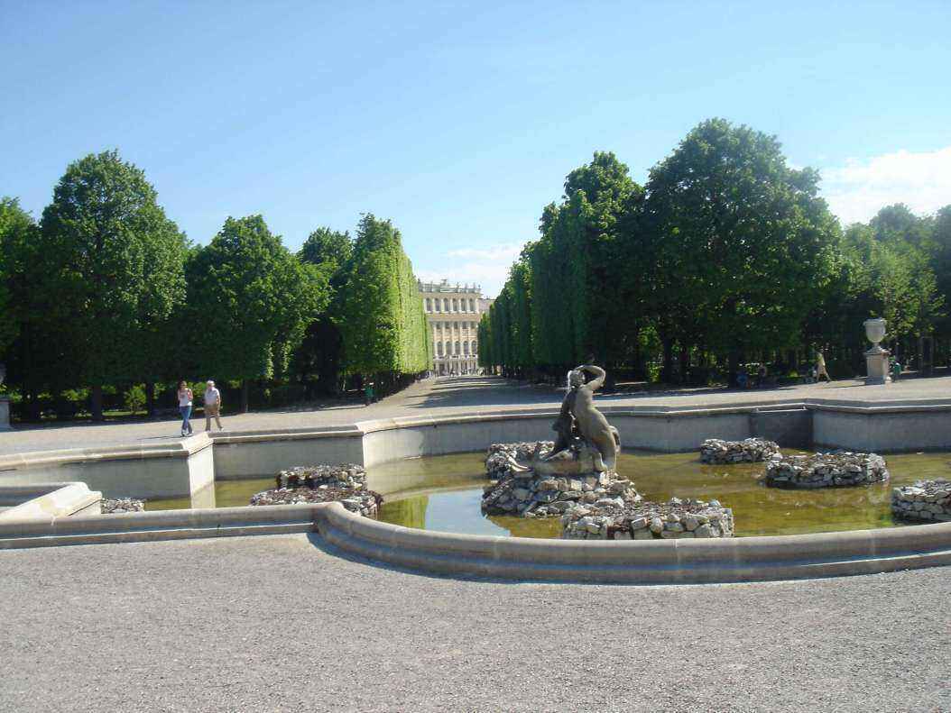 DSC08393 - Copy.JPG