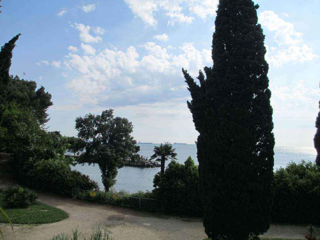 IMG_1960 - Copy.JPG