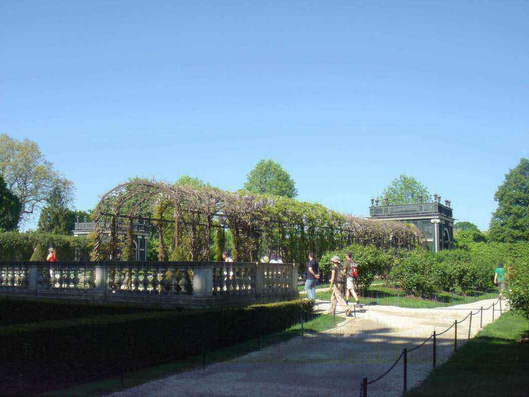 DSC08370 - Copy.JPG