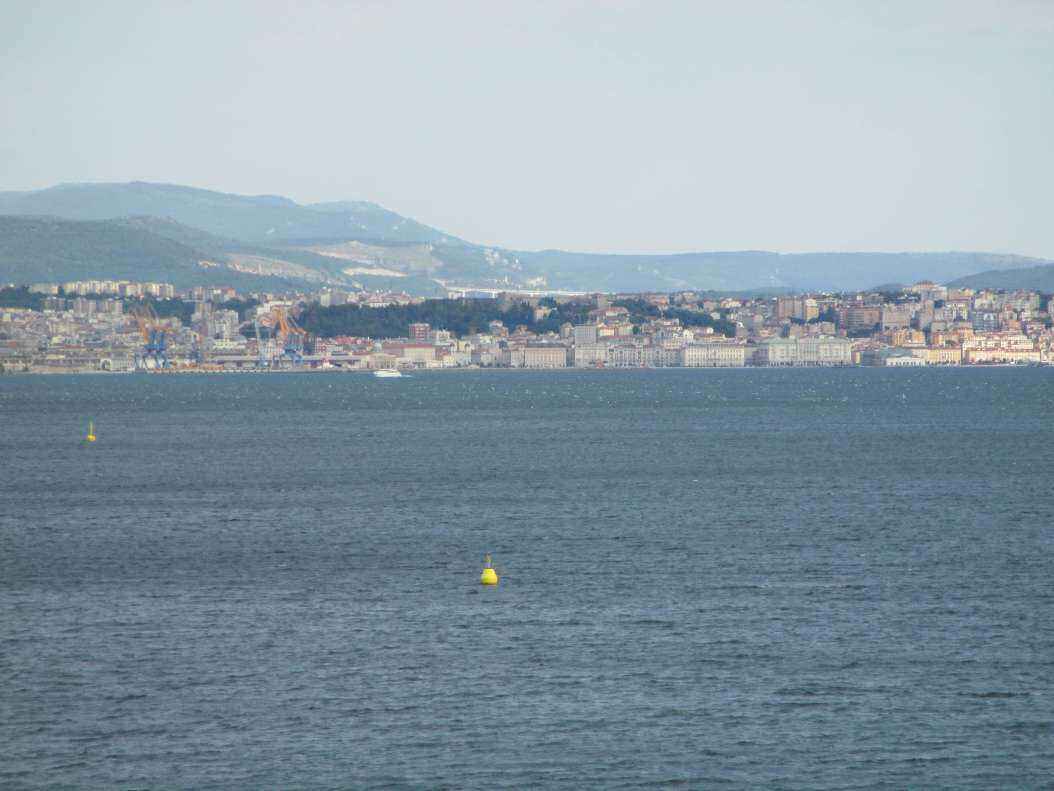 IMG_1981 - Copy.JPG