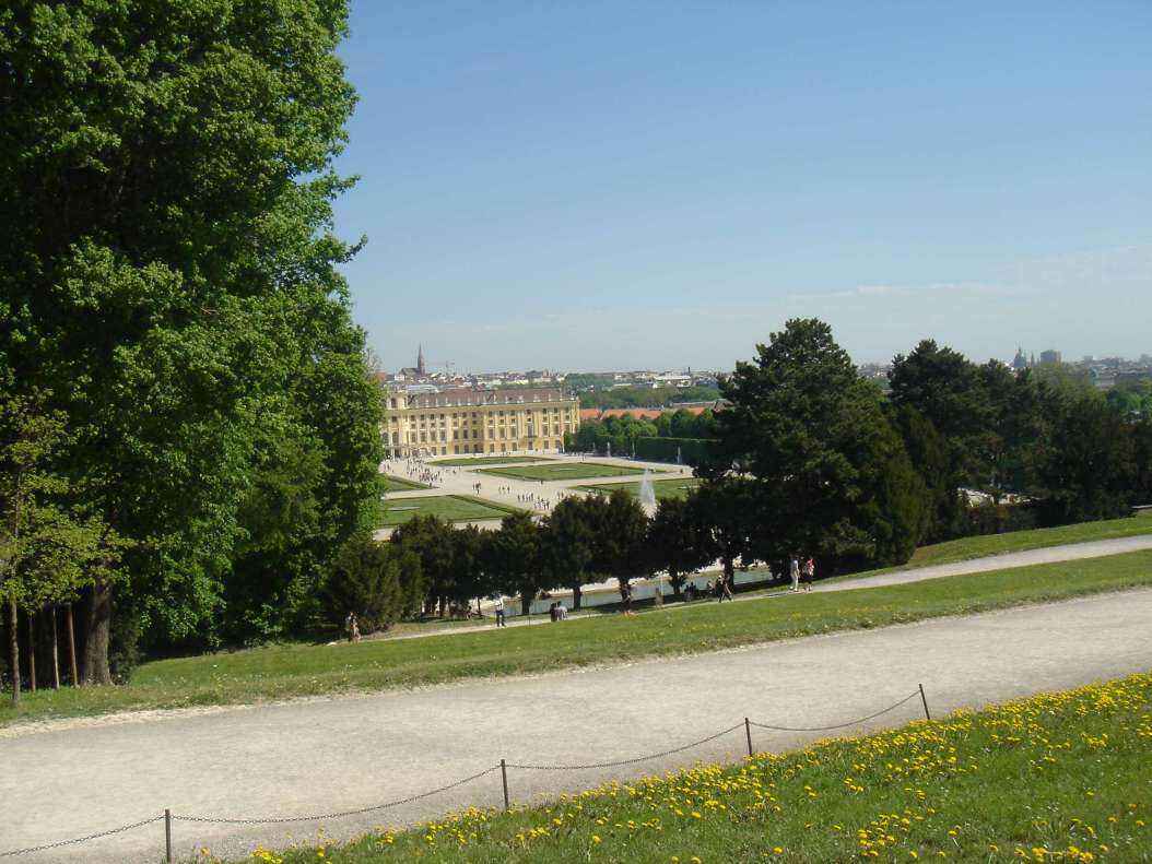 DSC08401 - Copy.JPG