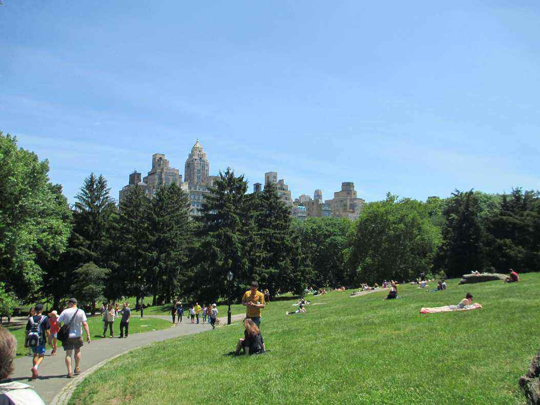 IMG_2550 - Copy.JPG