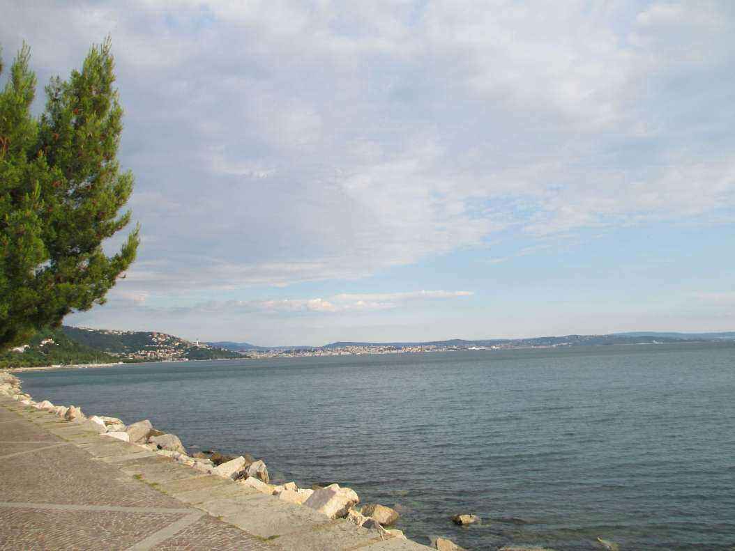 IMG_2006 - Copy.JPG
