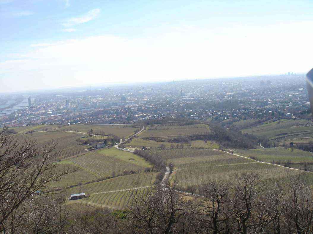 DSC04905 - Copy.JPG