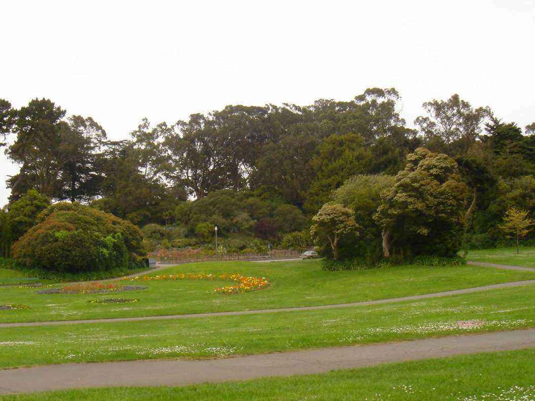 DSC04343 - Copy.JPG