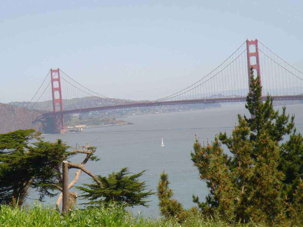 DSC04042 - Copy.JPG