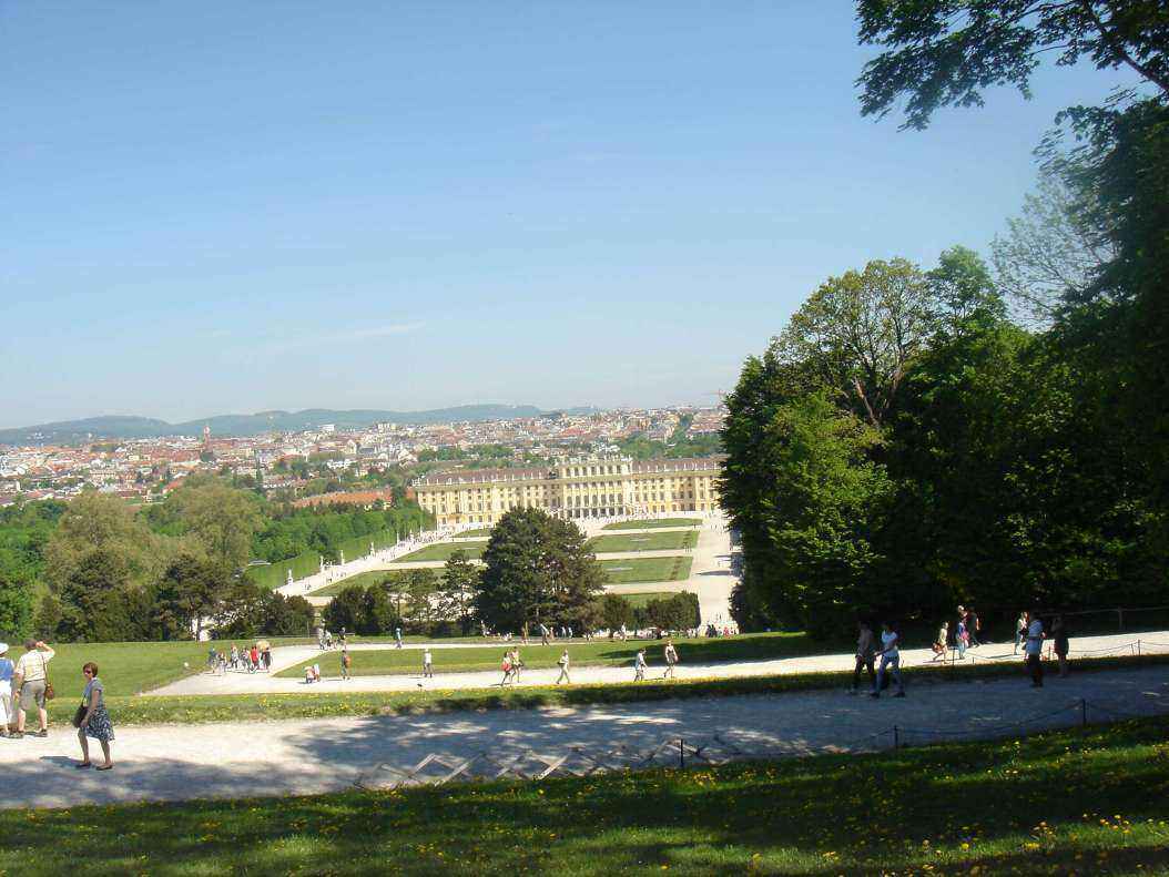DSC08437 - Copy.JPG