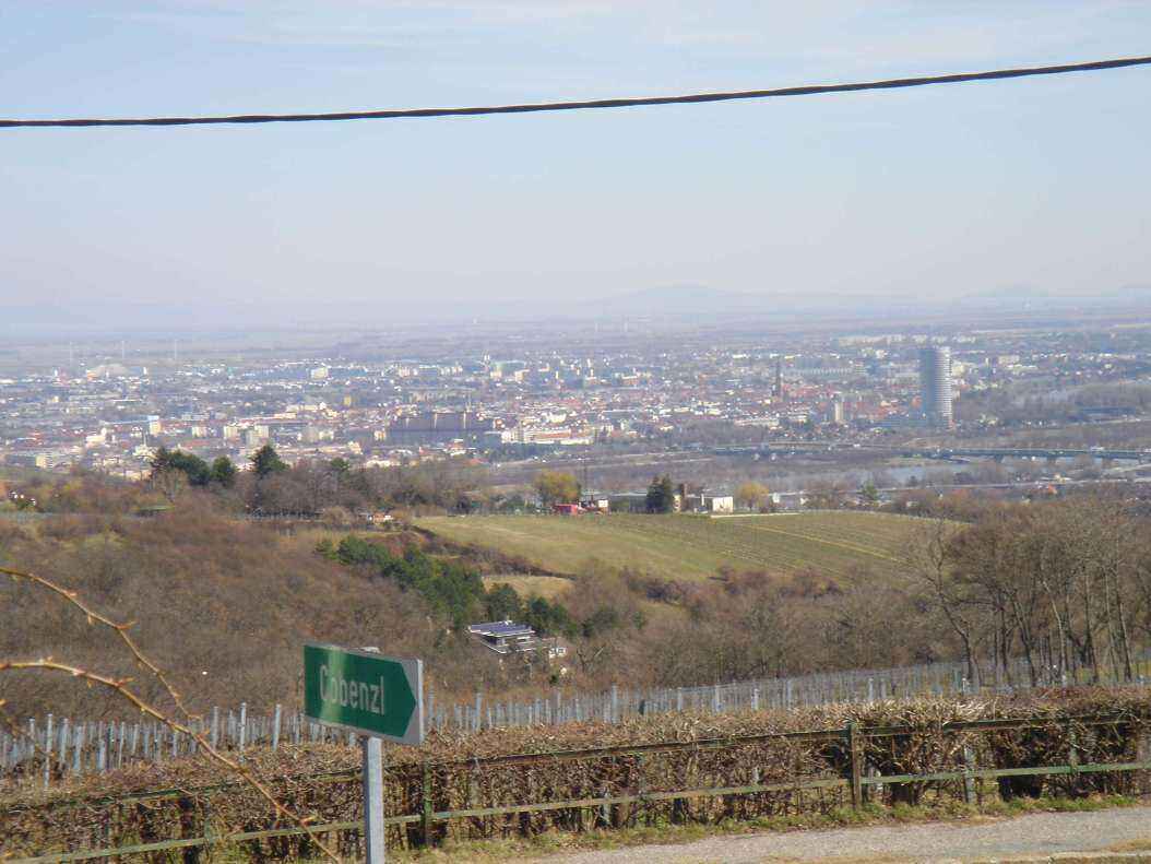 DSC04912 - Copy.JPG
