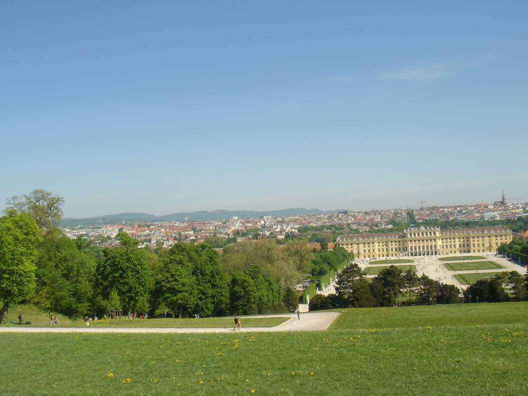 DSC08411 - Copy.JPG