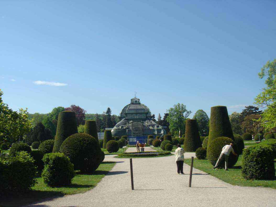 DSC08386 - Copy.JPG